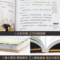 【精装硬壳】正版 绿山墙的安妮 精装插图版 无障碍阅读小学生青少年版课外书必读三四五六年级书籍儿童文学世界经典名著 XZ