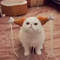 宠物搞笑头饰猫狗小龙女姑姑同款鸡腿发箍婚礼聚会搞笑道具特价促 棕色小号鸡腿姑姑