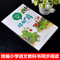 正版搭船的鸟郭风童话集统编版配套同步阅读老师推荐大语文教材推荐绘本小学生三年级课外书必读人教版下册童话故事书 搭船的鸟