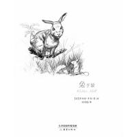 兔子坡 注音版 国际大奖小说系列 1-3年级小学生课外书读物 少儿书籍6-7-8-10岁儿童文学故事成长 书籍[新华书