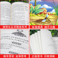 爷爷的爷爷哪里来正版 贾兰坡 快乐读书吧小学生四年级下册必读的课外阅读书 老师推荐4年级下学期人教版 天地出版社 爷爷从