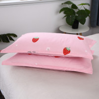 枕头套一对装单人枕用夏季卡通大号枕芯套内胆套48x74学生枕头罩 草莓 一对装 48cmX74cm