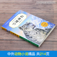 雪域神豹 沈石溪中外动物小说精品升级版 9-12岁儿童文学励志动物成长故事 三四五六年级小学生课外阅读书 安徽少年儿童出