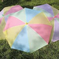 儿童雨伞男女孩自动伞苏菲亚幼儿园小学生卡通透明两用伞长柄公主 普通彩虹雨伞