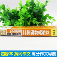 年最新版黄冈作文小学生二年级分类作文注音版作文起步辅导带拼音的小学辅导书素材人教版语文课本同步大全看图写话说话训练HC