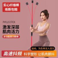 宏翔粉丝专享升级加强版训练棒菲力士弹力棒震颤棒振颤棒健身_红色一体款158com长
