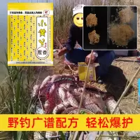 小黄丫鲤鱼饵料-主播_爆香