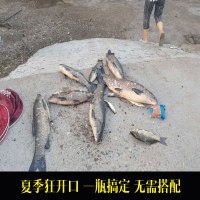 钓鱼用品神器鲫鱼鲤鱼青鱼草鱼饵料窝料斑点主线_1件