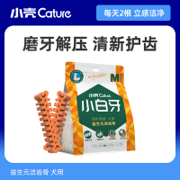 小壳洁齿骨中小型犬磨牙护齿_拍1发2猕猴桃味110g