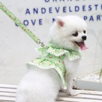 宠物牵引绳背心式泰迪遛狗绳宠物胸背带小型犬宠物用品_紫色小碎花_L(建议9-13斤宠物)