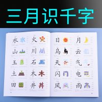 幼儿识字1200字早教启蒙幼儿园宝宝认字 学前儿童学汉字_图书