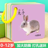宝宝动物认知卡片儿童早教识字卡婴幼儿启蒙认图识图益智玩具全套_水果蔬菜