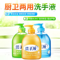 正商优品儿童家庭通用维E芦荟500g清香保湿型洗手液_野菊花清爽_500g洗手液1瓶