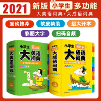 正版小学生成语词典小学多功能大全现代汉语词语儿童大字典解释书_小学生多功能大成语词典