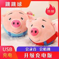音乐跳跳球小丑球海草跳跳猪会说话儿童毛绒玩具_升级USB面包+录音说话