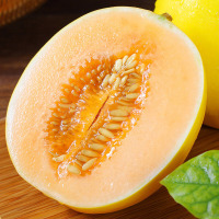 坏果包赔甘肃民勤蜜瓜1.5-9斤_1-1.5斤(1个小瓜)