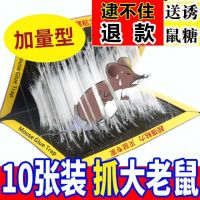 强力老鼠贴隐形粘鼠板老鼠笼捉抓夹粘老鼠板器家用一窝端正品_3张