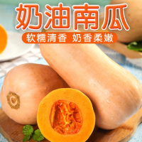 陕西秦岭山奶油南瓜5斤-9斤_5斤