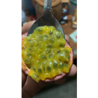 广西高山百香果 酸甜多汁 新鲜大果3斤5斤9斤_1斤尝鲜