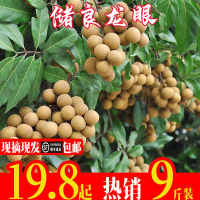 新鲜桂圆水果现摘广东储良龙眼19.8起整箱9斤冷链_2斤