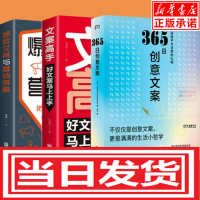 3册365日创意文案+文案高手+文案樊登正版原版_文案