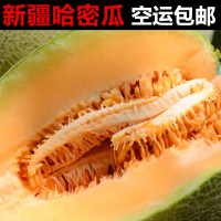 新疆哈密瓜西州蜜25号8-9斤包甜包赔航空_8-9斤