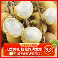 广东龙眼桂圆1/3/5斤顺丰超甜应季水果新鲜现摘现发_龙眼1斤装