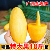 广西金煌芒大果青皮/黄皮金煌芒新鲜当季水果5/9斤整箱_黄皮金煌芒_5斤单果500g起（3-5个）