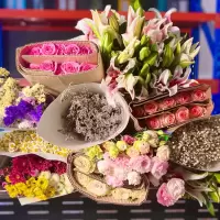 新人福利/鲜花套餐111(顺丰)_颜色随机:百合10朵+红豆1把+满天星1把+洋桔梗+尤加利1把+向日葵2支+绣球