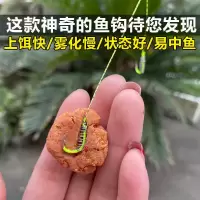 新款子线双钩弹簧钓底不跑鱼钓青鱼浮钓鲢鳙管付伊势尼有倒刺鱼钩_伊势尼管付弹簧钩(10枚)_13#号钩