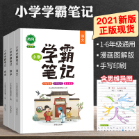小郑重磅2021新黄冈学霸笔记小学语数英全套知识大全_1-6年级通用 英语(全国不分版本)