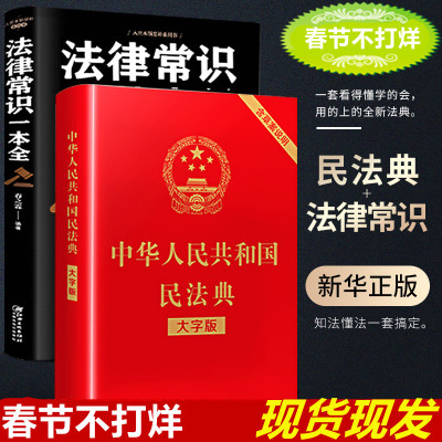 2021版 民法典 大字版_民法典2021年版中国法制出版社