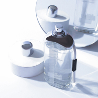 法国雪尔妮兰风格女士STYLE清新香调学生女持久淡香水100ml_风格3073