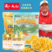 武汉天元嫩玉米窝料饵料钓鱼鲜玉米粒翘嘴鱼饵钓饵户外官方旗舰店_化氏嫩玉米大物版小包装120g