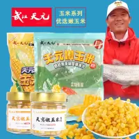 武汉天元嫩玉米窝料饵料钓鱼鲜玉米粒翘嘴鱼饵钓饵户外官方旗舰店_化氏嫩玉米大物版小包装120g