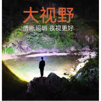 西芝优选户外头灯 强光钓鱼灯超亮远射手电_单核强光99000(一套)_爆亮续航(循环双锂电)