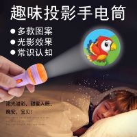 和飞严选儿童玩具投影手电筒早教识图恐龙动物图案海底小纵队_卡片4个32图案(不配手电)