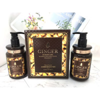 生姜精粹植物洗发水+护发素套装_洗护套盒