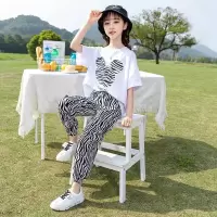 A-斑马纹套装_图片色_160