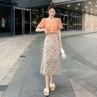 雪纺套装裙女2021夏季新款时尚洋气短上衣碎花半身裙两件套连_碎花半身裙_L110-120斤