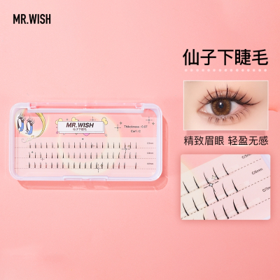 Mr.wish/心愿先生一次性下睫毛假睫毛 直接拍_下睫毛*1