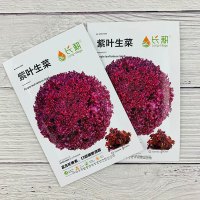 长耕紫叶生菜农家生菜种孑春秋季四季_长耕紫叶生菜10g原装