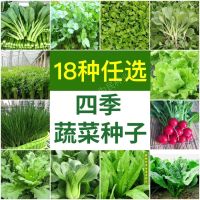 18种蔬菜种子四季播种阳台盆栽田园春秋冬季高产新鲜蔬菜种籽大_任选2种蔬菜种联系客服备注送肥料