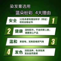 [促销价]染发剂自己在家染流行色植物染发膏潮色盖白发蓝黑色苦亚麻闷青