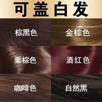 [促销价]泡泡染发膏植物2021流行色盖白发自己在家染发剂