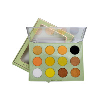 12色绿眼影 12影 珠光哑光大地色南瓜影盘美妆