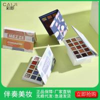 柔光彩绘珠光15影 网红同款厌世妆大地色哑光眼影盘