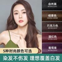 染发剂热卖植物无刺激遮白发泡泡沫染发膏一梳彩