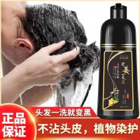 黑色 500 老姜生姜植物染发剂一支黑清水染发膏盖白发一支彩黑发洗发露