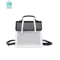 BANGDOU原创双肩斜挎单肩日常百搭吧唧二次元透明小食量痛包包女三种背法